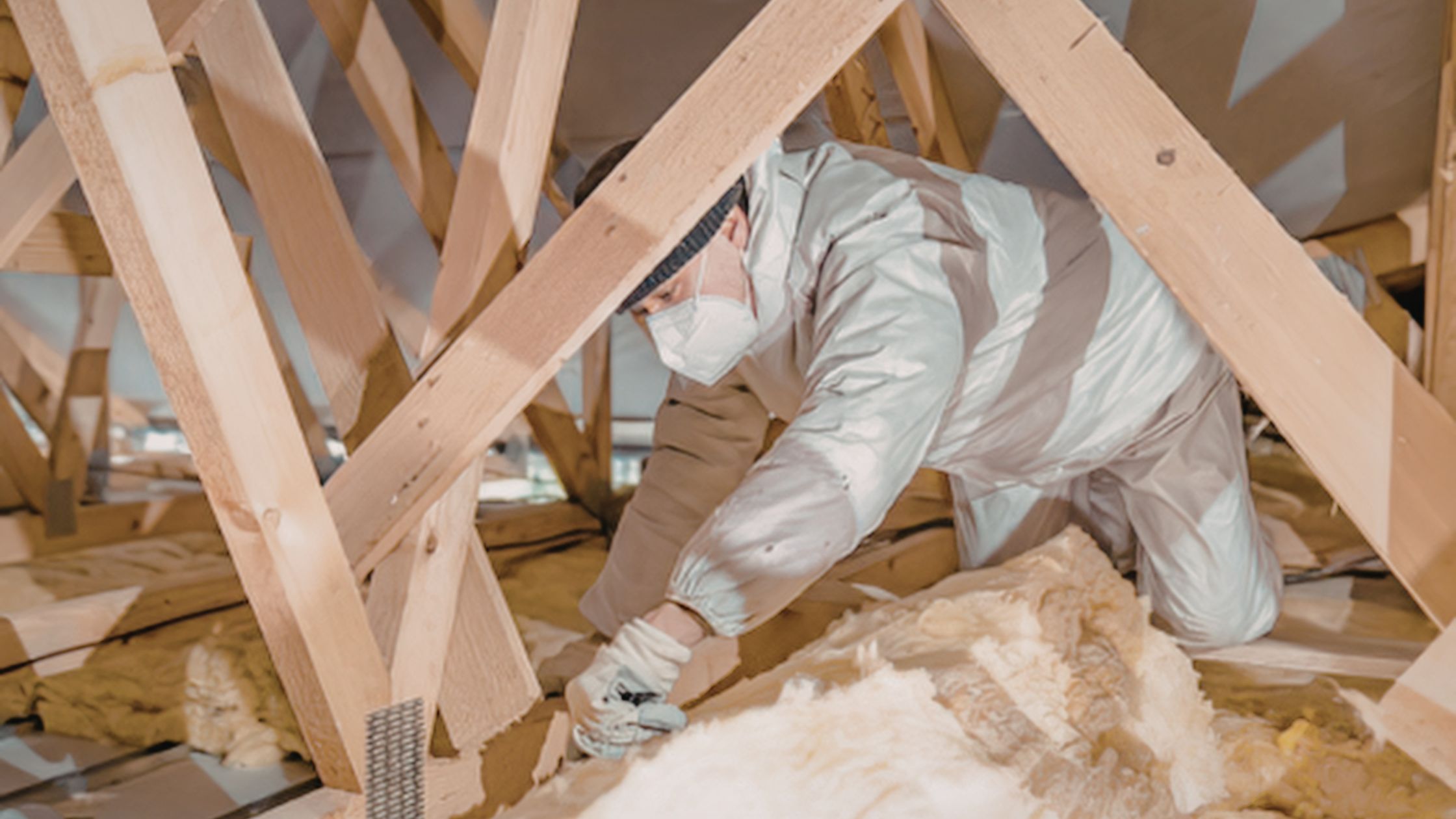 Attic Inspection